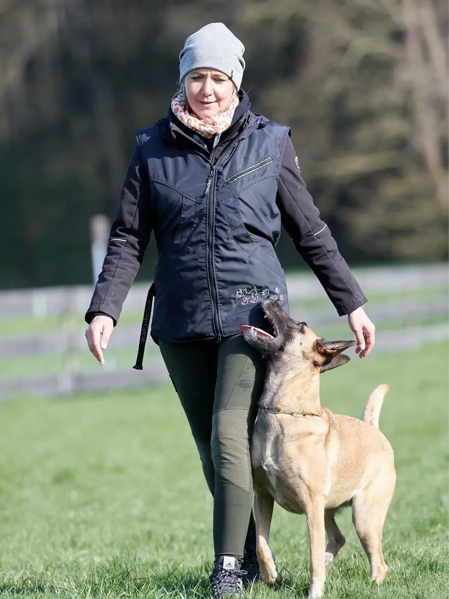 Mensch-Hund-Team bei der Unterordnung