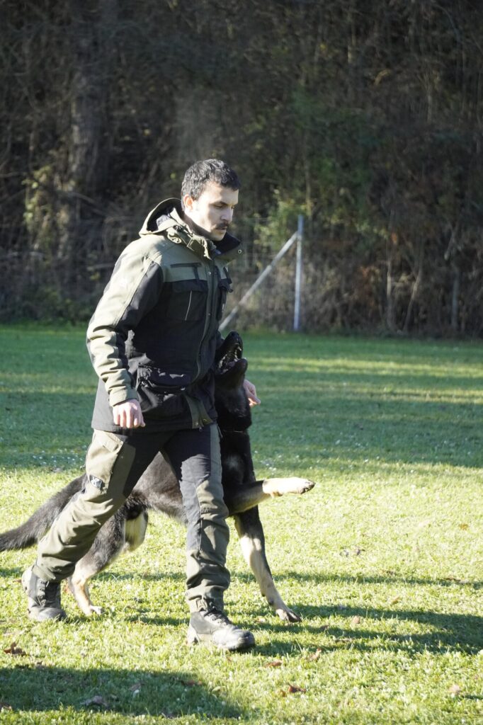 Mensch-Hund-Team bei der Unterordnung auf dem Prüfungsplatz