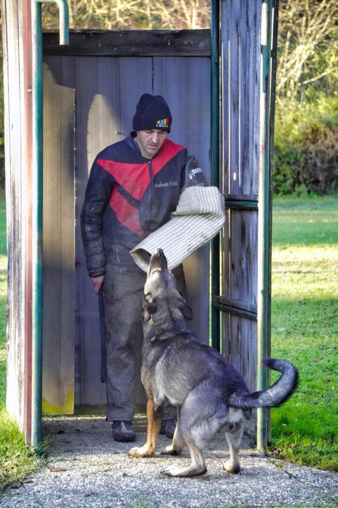 Hund und Helfer bei einer Übung am Versteck
