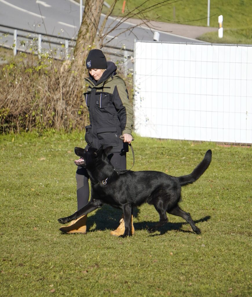 Mensch-Hund-Team bei konzentrierter Fußarbeit