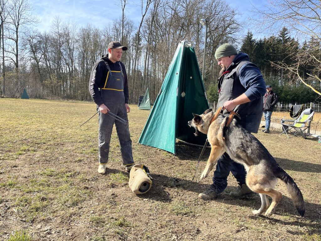 Mensch-Hund-Team bei einer Schutzdienstübung