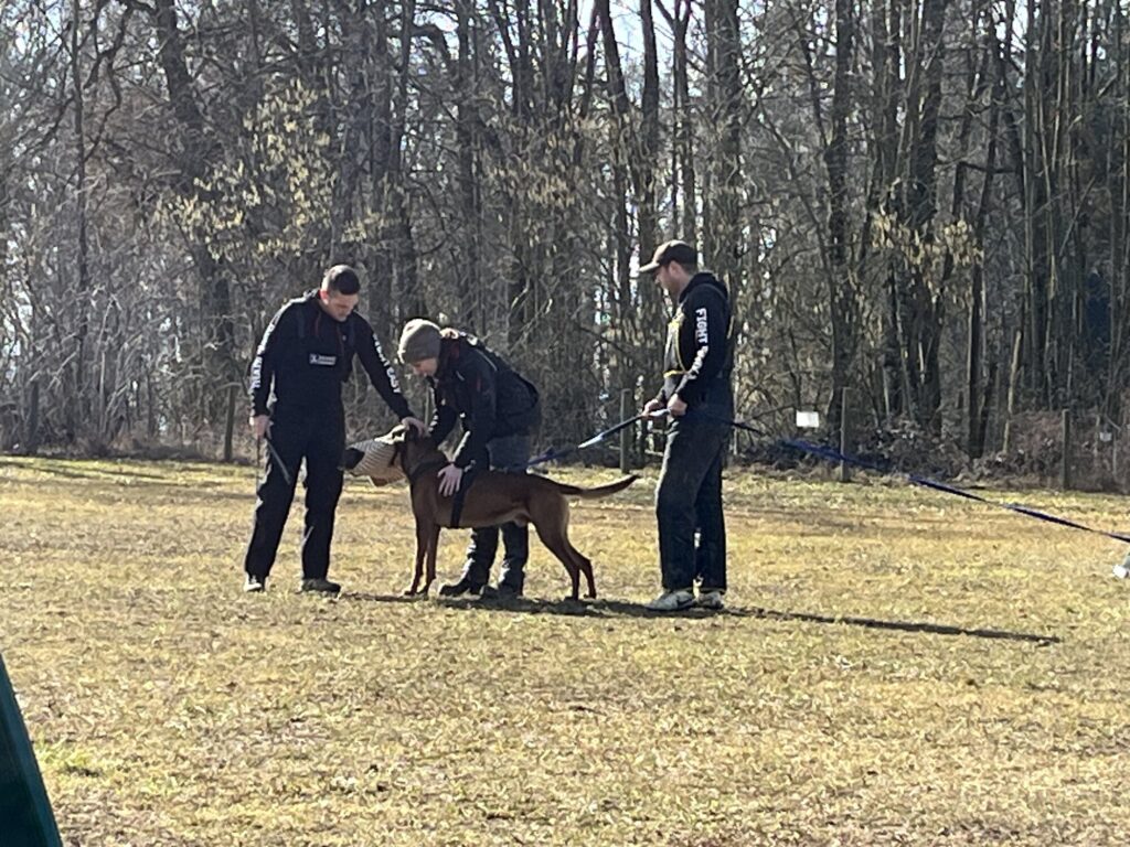 Mensch-Hund-Team während einer Übung