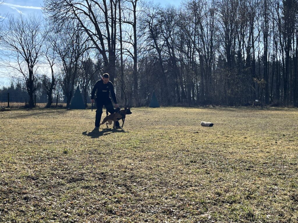 Hundearbeit auf dem Trainingsgelände in Moos