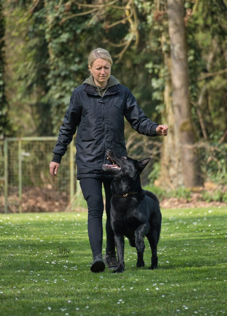 Marta und Nox beim gemeinsamen Einlaufen auf den Übungsplatz